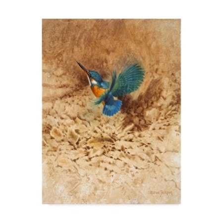 Michael Jackson 'Kingfisher Study' Canvas Art,24x32